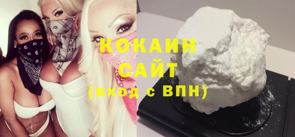 ГАЛЛЮЦИНОГЕННЫЕ ГРИБЫ Гусев