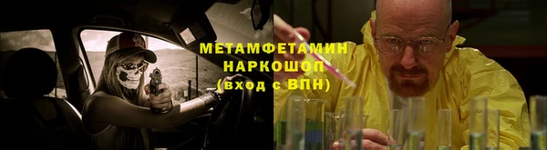 ГАЛЛЮЦИНОГЕННЫЕ ГРИБЫ Гусев