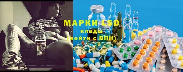 ГАЛЛЮЦИНОГЕННЫЕ ГРИБЫ Гусев