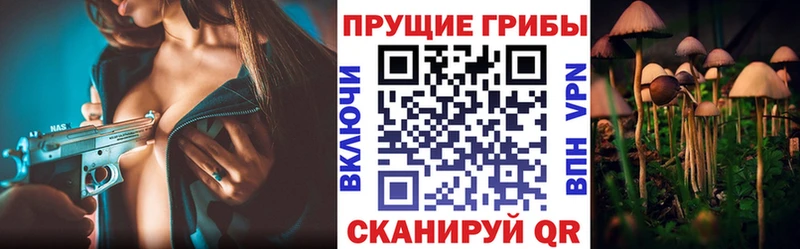 Галлюциногенные грибы GOLDEN TEACHER  Купить где  Новая Ладога 